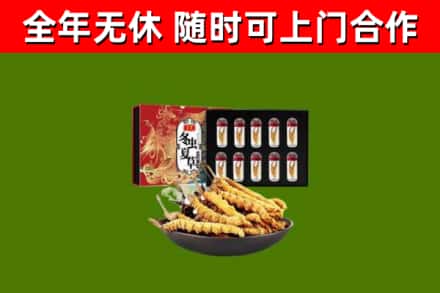 济南市回收冬虫夏草价格